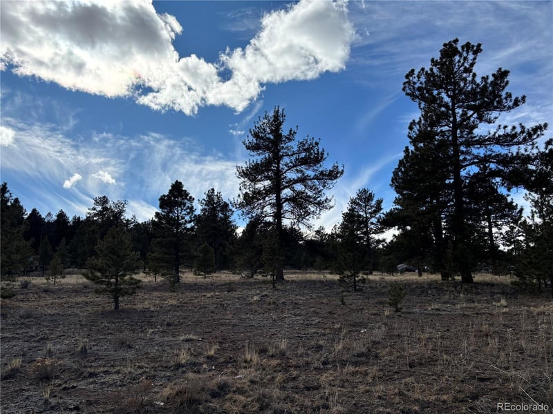 823 Windmill Dr, Hartsel, CO 80449