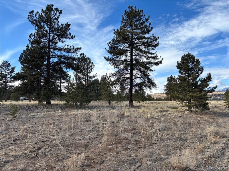 823 Windmill Dr, Hartsel, CO 80449