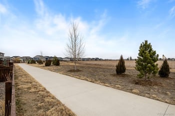 6075 Holstein Dr, Windsor, CO 80528