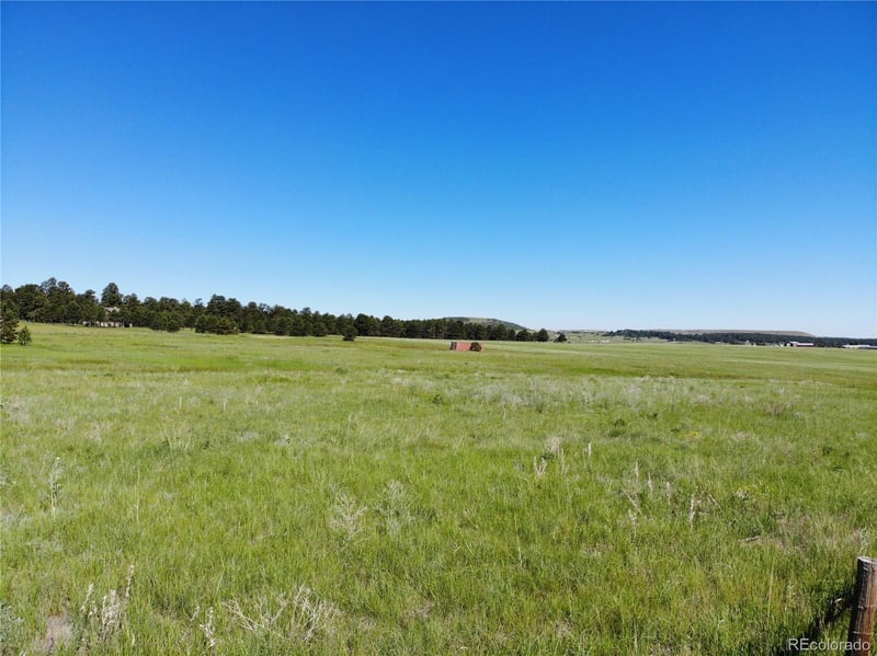 15599 Arfsten Rd, Larkspur, CO 80118