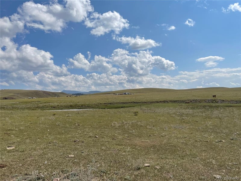 770 Pawnee Trl, Hartsel, CO 80449