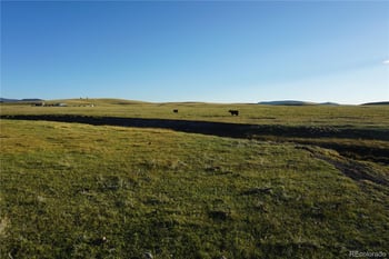 770 Pawnee Trl, Hartsel, CO 80449