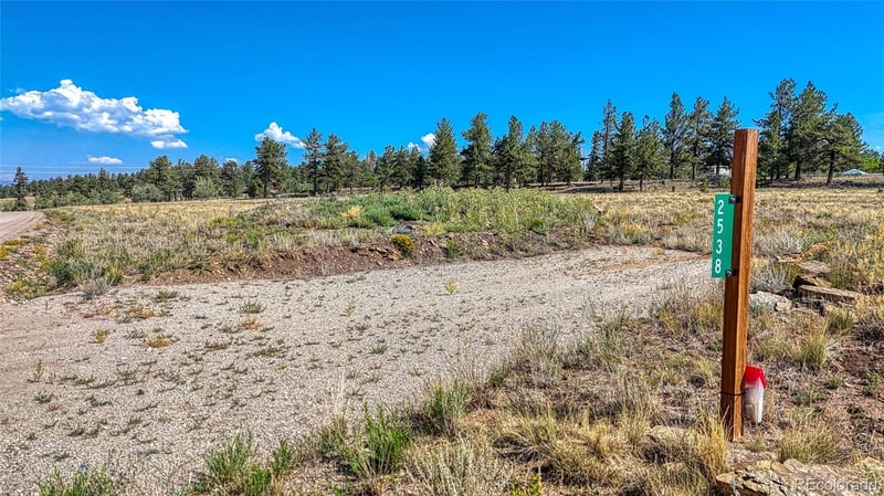 2538 Windmill Dr, Hartsel, CO 80449