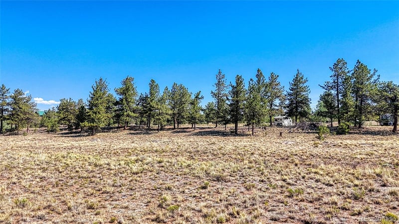 2538 Windmill Dr, Hartsel, CO 80449