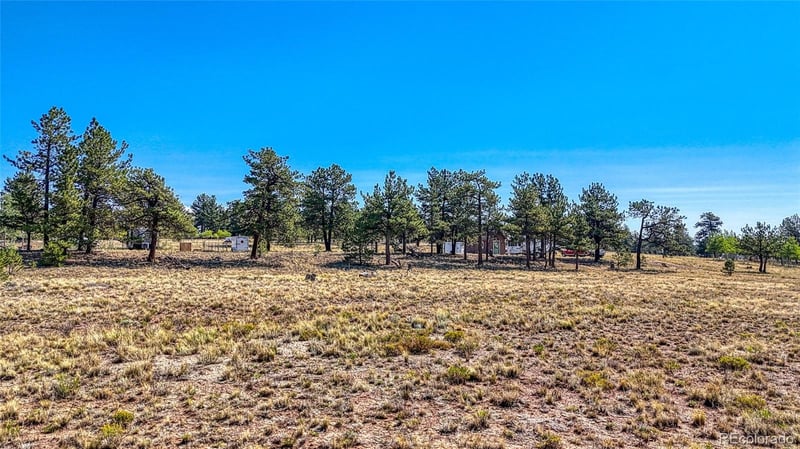 2538 Windmill Dr, Hartsel, CO 80449