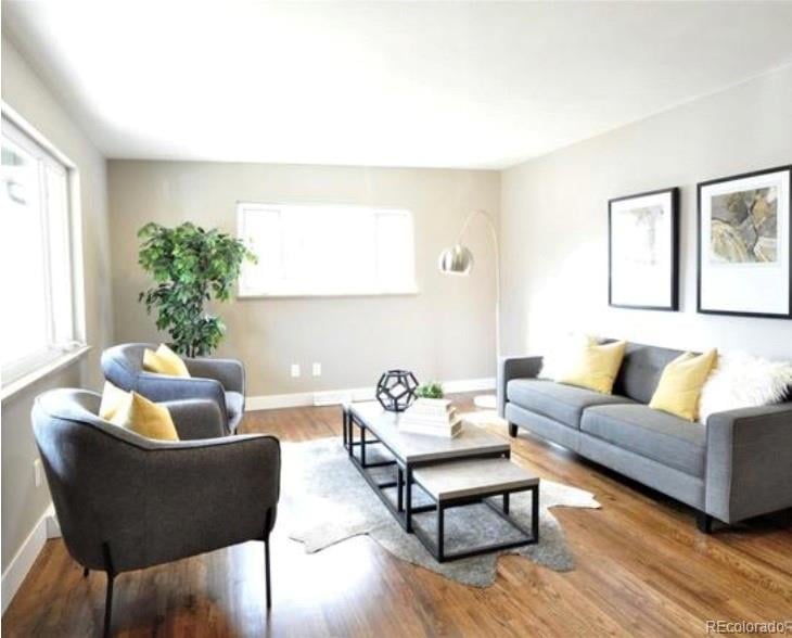 6521 Cedar St, Littleton, CO 80120