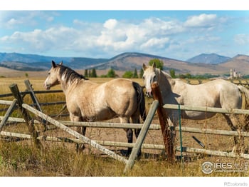 5336 Caribou Springs Trl, Longmont, CO 80503