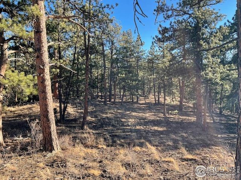 Pine Dr, Lyons, CO 80540