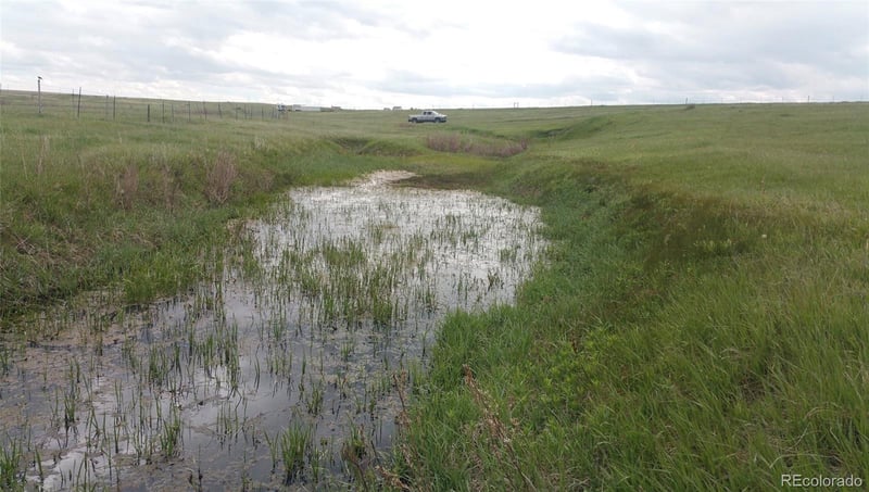 21550 Elk Meadows Cir, Elbert, CO 80106