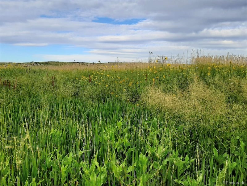 21550 Elk Meadows Cir, Elbert, CO 80106