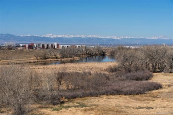 10128 29th Dr, Denver, CO 80238