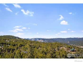 58 Doe Trl, Nederland, CO 80466