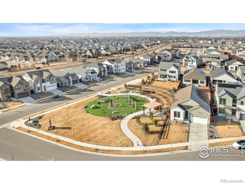 1876 Blossom Grove Dr, Windsor, CO 80550