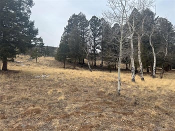 1421 Pitchfork Rd, Hartsel, CO 80449