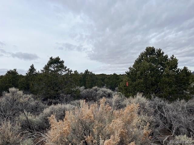 Lot 1865 Wilkings Rd, Fort Garland, CO 81133