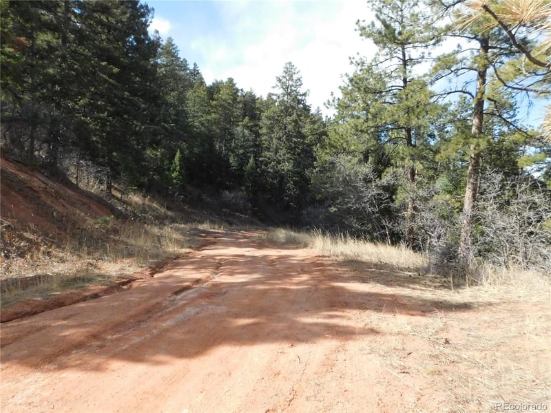 8122 Acoma Dr, Larkspur, CO 80118