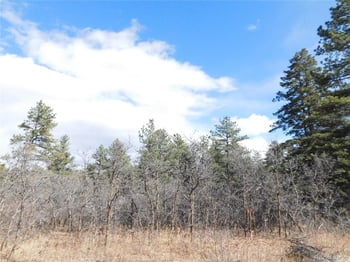 8122 Acoma Dr, Larkspur, CO 80118