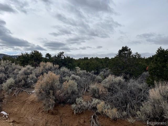 Lot 14 St Timothy Rd, Fort Garland, CO 81133