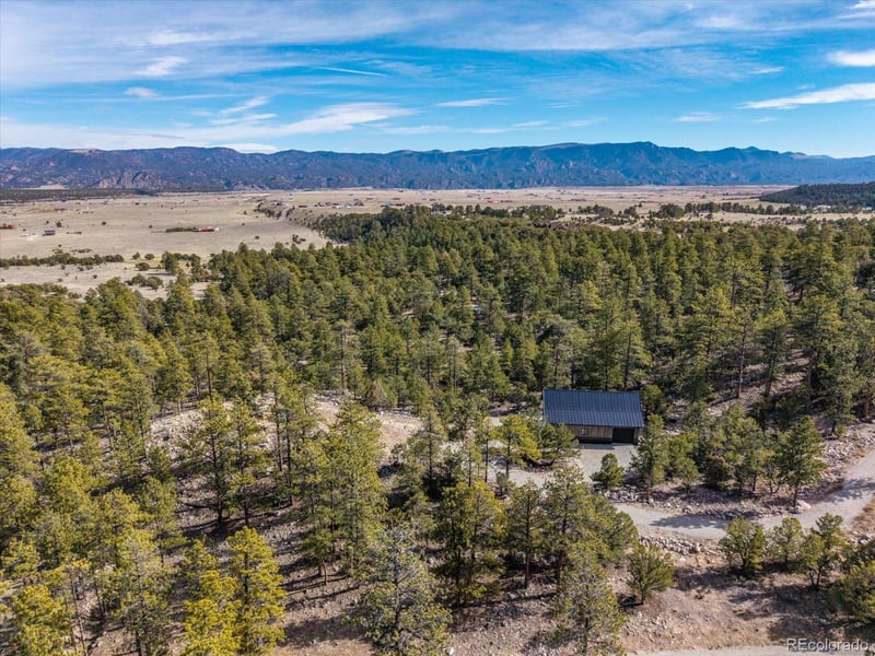21160 Skyline Dr, Nathrop, CO 81236