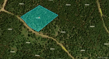 3207 Vaughn Ln, Fort Garland, CO 81133