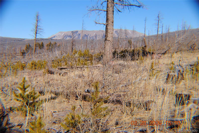 1043 Saul Pl, Fort Garland, CO 81133