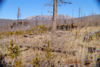 1043 Saul Pl, Fort Garland, CO 81133