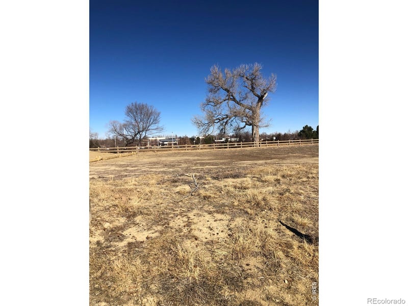 932 Langdale Dr, Fort Collins, CO 80526