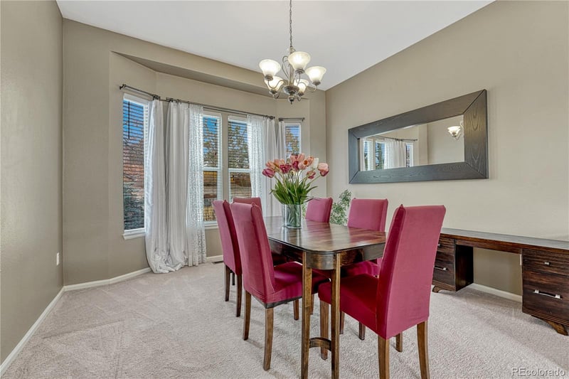 21837 Saddlebrook Ct, Parker, CO 80138