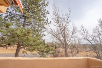 8870 Fiesta Ter, Lone Tree, CO 80124