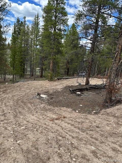 123 Lodgepole Dr, Leadville, CO 80461