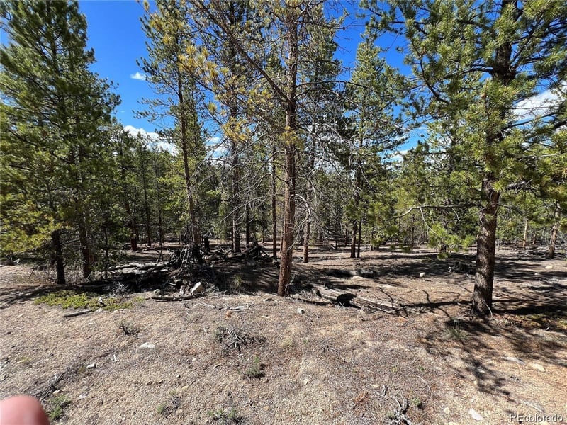 123 Lodgepole Dr, Leadville, CO 80461