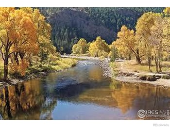 1003 Schlagel St #7, Fort Collins, CO 80524