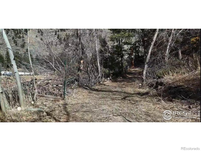 14 Sly Fox Rd, Drake, CO 80515