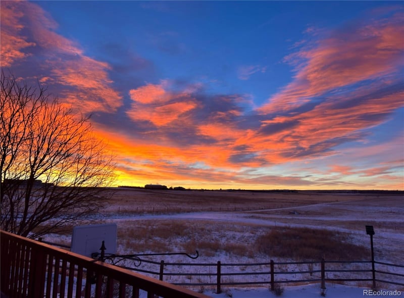 937 Snow Lake Ct, Watkins, CO 80137