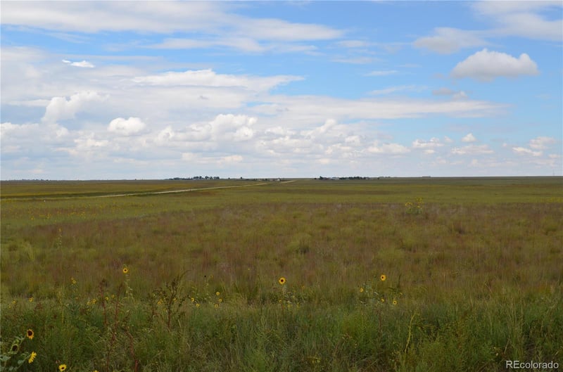 Parcel 8 County Rd V, Rush, CO 80833