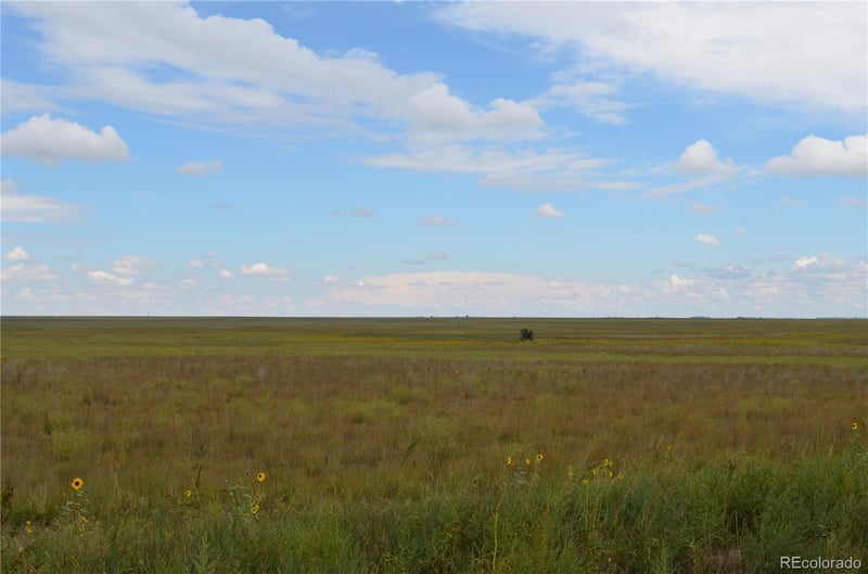 Parcel 8 County Rd V, Rush, CO 80833