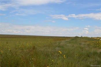 Parcel 8 County Rd V, Rush, CO 80833