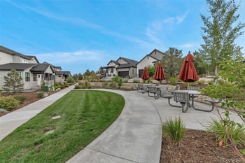 7015 Homeplace St, Castle Rock, CO 80108