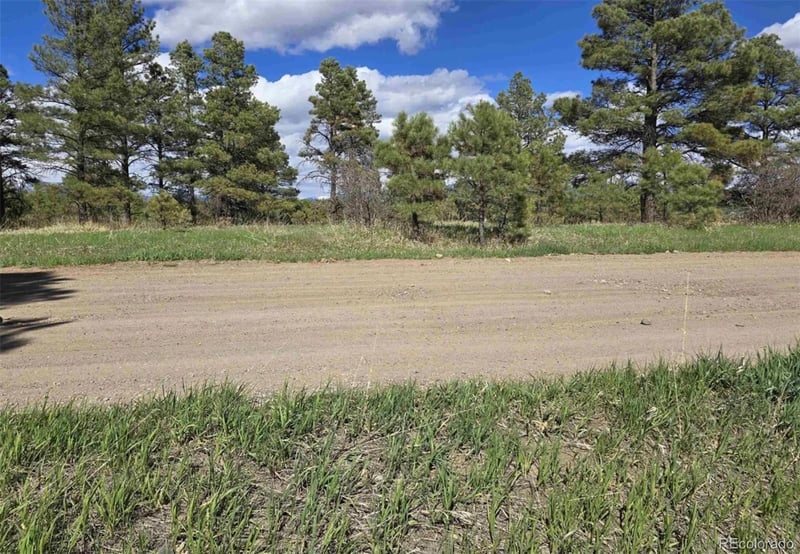 484 Prospect Blvd, Pagosa Springs, CO 81147