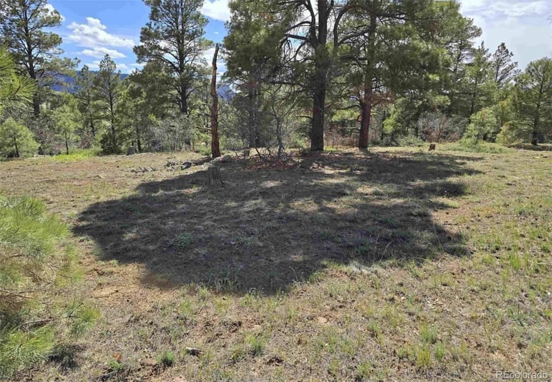 484 Prospect Blvd, Pagosa Springs, CO 81147