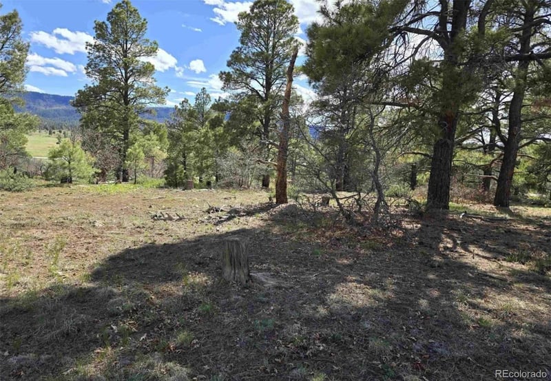 484 Prospect Blvd, Pagosa Springs, CO 81147