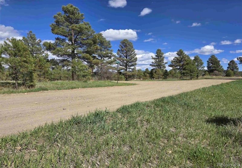 484 Prospect Blvd, Pagosa Springs, CO 81147