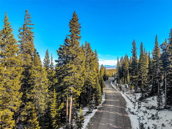 343 Sunshine Dr, Fairplay, CO 80440