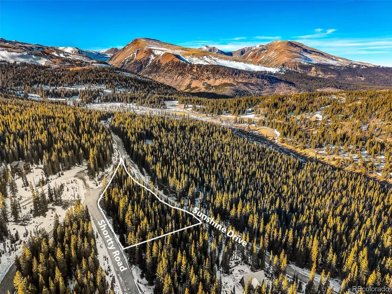 343 Sunshine Dr Lot 0856, Fairplay, CO 80440