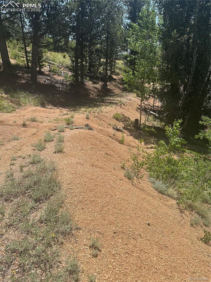 110 Brown Bear Ln, Cripple Creek, CO 80813
