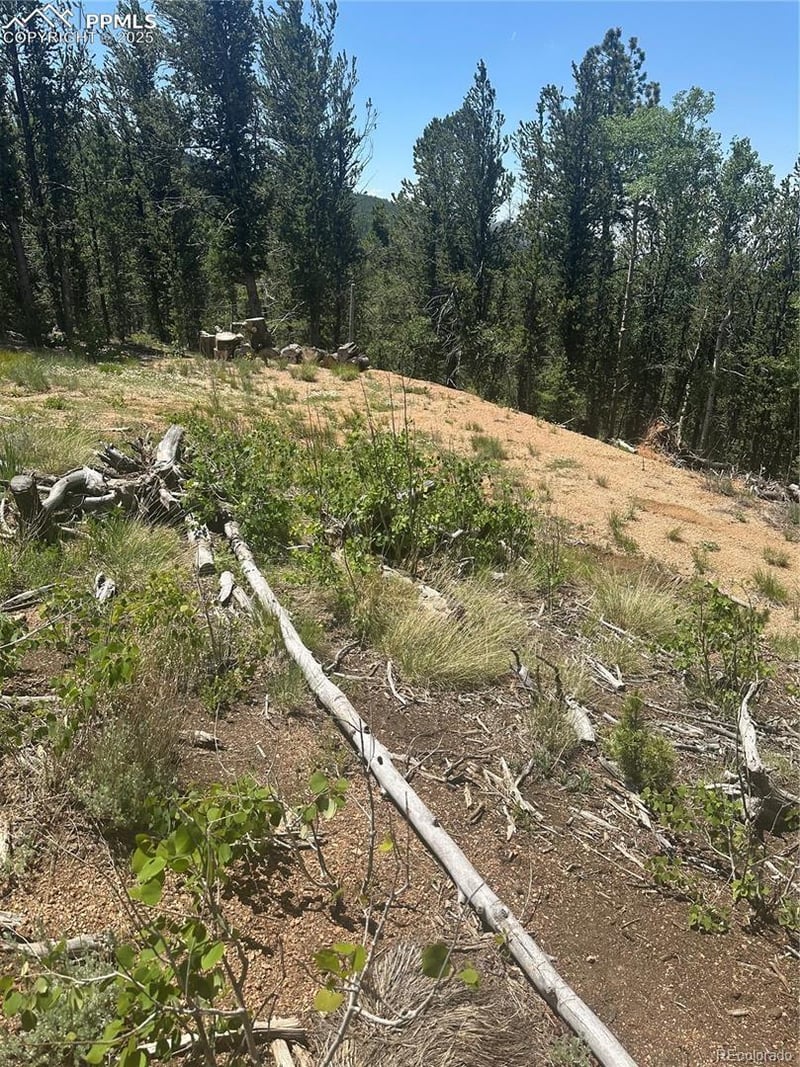 110 Brown Bear Ln, Cripple Creek, CO 80813