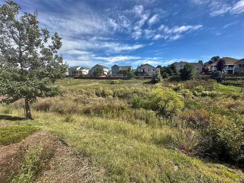 6463 Bluffmont Point, Colorado Springs, CO 80923