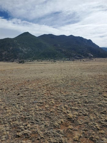 County Road 333, Lake George, CO 80827