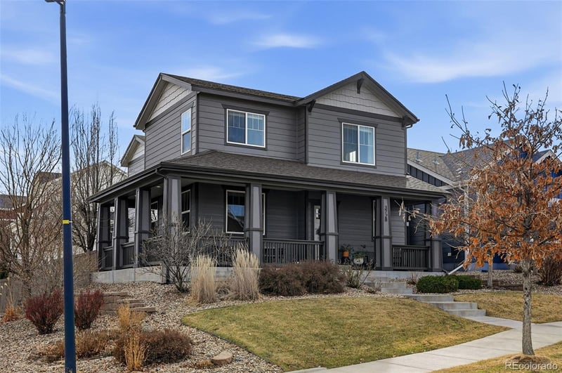 3728 Champagne Ave, Castle Rock, CO 80109
