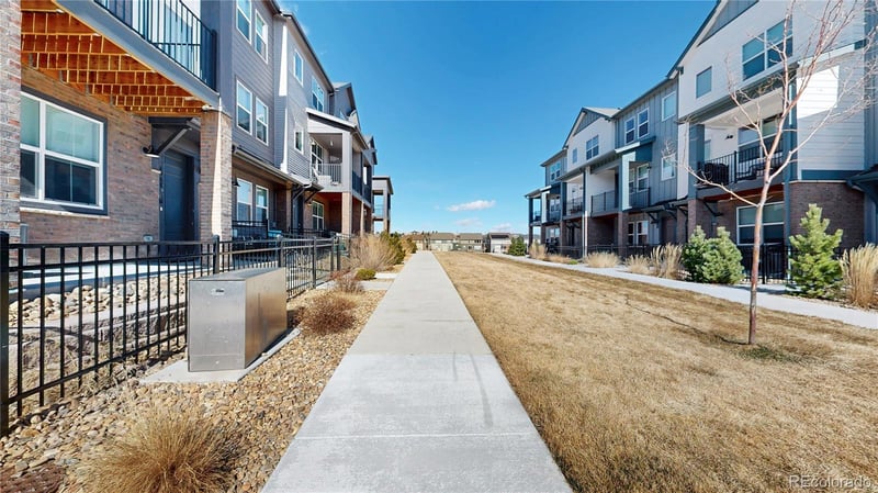 7008 Ipswich Ct, Castle Pines, CO 80108